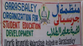 Fursaddo waxbarasho oo loo fidiyay qaar ka mid ah  ardeyda degmada Dharkeenley ee Magaalada Muqdisho.