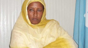 Gudiga farsamada barlamaanka cusub oo aqoonsiyo siinaya xubnaha ay soo xuleen