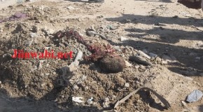 Ururka Al-Shabaab oo sheegtay masuuliyada qaraxii ismiidaaminta ee Madaxweynaha lagu weeraray