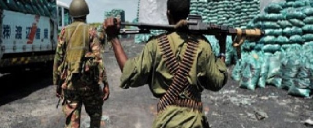 Kenya army enters Somali port of Kismayu