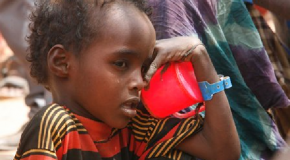 ACT Alliance Preliminary Appeal: Humanitarian support for Somali refugees, IDPs and drought affected households, Somalia