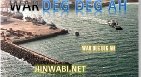 WAR DEG DEG AH MAGAALADA MARKA OO QARAX KA DHACAY & CIIDAMADA DOWLADA AY HALKAASI KA WADAAN HOWLGALO…