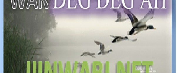 WAR DEG DEG AH QARAX XOOGGAN  OO GOOR DHOW KA  DHACAY MAGAALADA KISMAAYO…