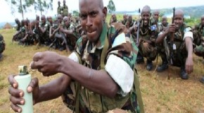 Somali army recruits to be trained in Somalia