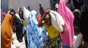 Somalia’s food insecurity eases but acute malnutrition remains high
