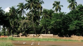 Gegmada Janaale Dhanka Nolosha Waa Sidee Iyo Xaaladda Gobalka Sh. Hoose