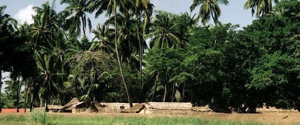 Gegmada Janaale Dhanka Nolosha Waa Sidee Iyo Xaaladda Gobalka Sh. Hoose