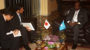 Danjiraha Japan Oo Madaxweynaha Soomaaliya Ka Guddoomay Waraaqaha Aqoonsiga