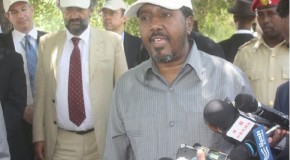 President Hassan, “Let me say this: charcoal export is crime.”
