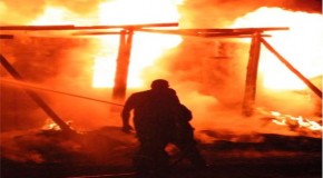 All Somali shops in Booysen Park looted