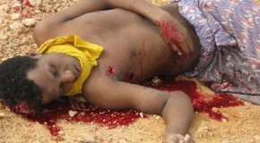 Unknown Armed Assailants kill 5 in Muri Town of Lower Shabelle