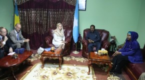 wufuudi ka socday dalka Sweden Oo Madaxweyne Xasan Sheekh la kulmay