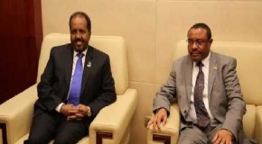MADAXWEYNE XASAN SHEEKH IYO RW HAILEMARIAM DESALEGN OO KULMAY