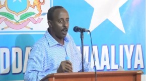 Ambassador Kay condemns killing of Somali MP in Mogadishu